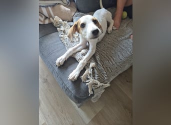 Felicia – großes Glück, wenn Du mich findest