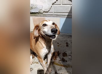 Alma – endlich dem Leben begegnen dürfen