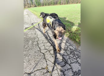 Elena sucht ihr Glück