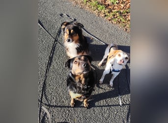 Elena sucht ihr Glück