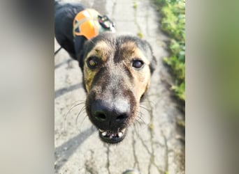 Elena sucht ihr Glück