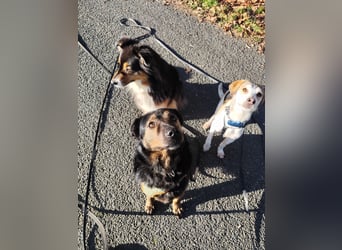 Elena sucht ihr Glück