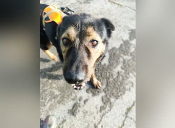 Elena sucht ihr Glück