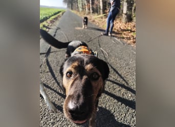 Elena sucht ihr Glück