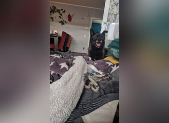 Fee sucht ihr Traumzuhause