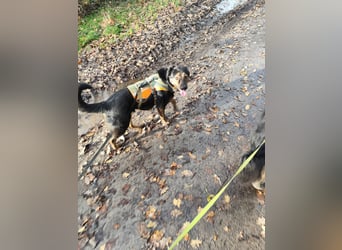 Elena sucht ihr Glück