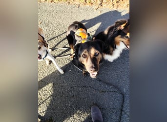 Elena sucht ihr Glück