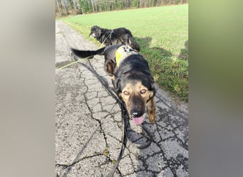 Elena sucht ihr Glück