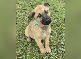 Golda wurde mit ihren 7 Geschwistern einfach entsorgt!