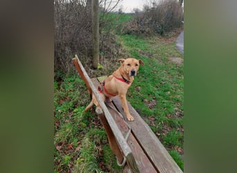 Ozzy - Konsequenz gefragt