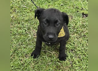 Gerry - einer von 8 Geschwistern ...