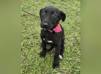 Glori einfach im Müll entsorgt ...