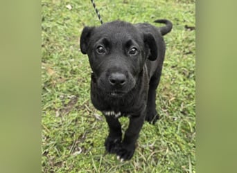 Gerry - einer von 8 Geschwistern ...