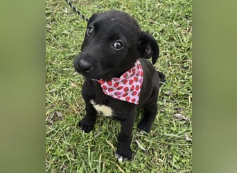 Grete - einfach weggeworfen