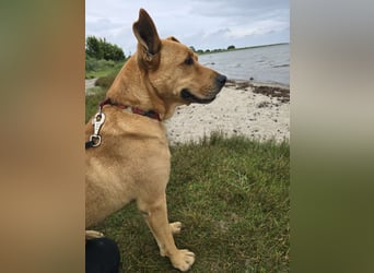 Ozzy - Konsequenz gefragt