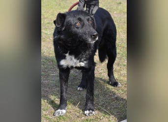 Matyi gehört noch nicht zum alten Eisen