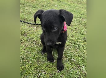 Glori einfach im Müll entsorgt ...