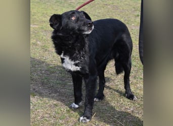 Matyi gehört noch nicht zum alten Eisen