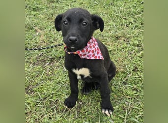 Grete - einfach weggeworfen