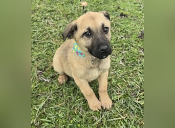 Golda wurde mit ihren 7 Geschwistern einfach entsorgt!