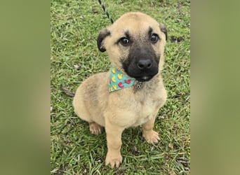 Golda wurde mit ihren 7 Geschwistern einfach entsorgt!