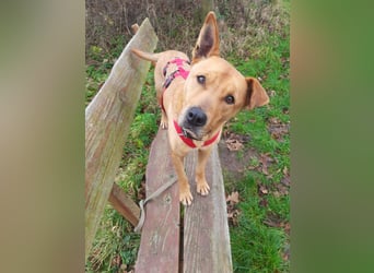 Ozzy - Konsequenz gefragt