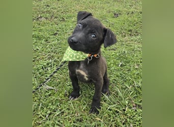 Gadget - einer von 8 im Müll entsorgt!