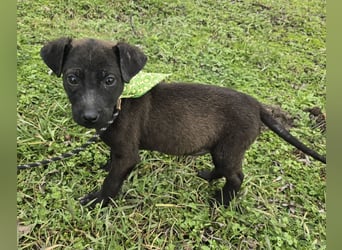 Gadget - einer von 8 im Müll entsorgt!