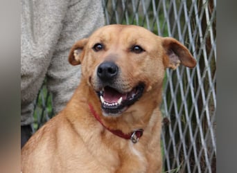 Ozzy - Konsequenz gefragt