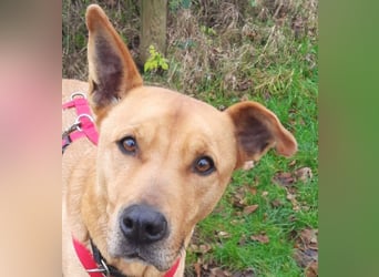 Ozzy - Konsequenz gefragt