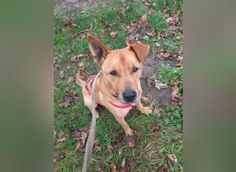 Ozzy - Konsequenz gefragt