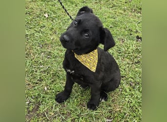 Gerry - einer von 8 Geschwistern ...