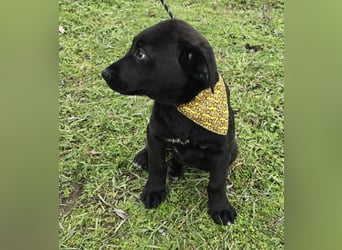 Gerry - einer von 8 Geschwistern ...