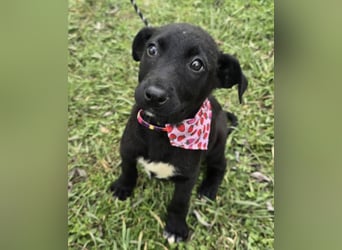 Grete - einfach weggeworfen