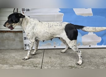 Mirage der Kette entkommen
