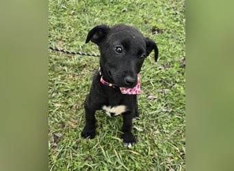 Grete - einfach weggeworfen