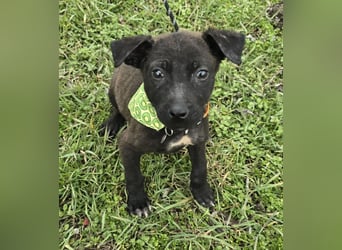 Gadget - einer von 8 im Müll entsorgt!