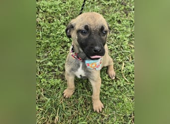 Glee - wie Müll entsorgt