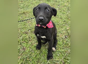 Glori einfach im Müll entsorgt ...