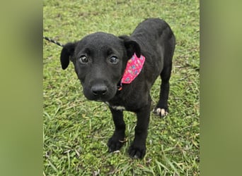 Glori einfach im Müll entsorgt ...