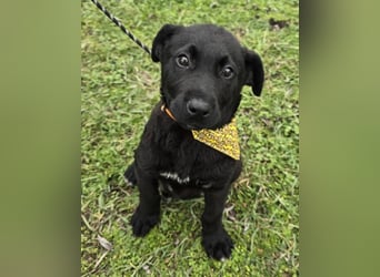 Gerry - einer von 8 Geschwistern ...