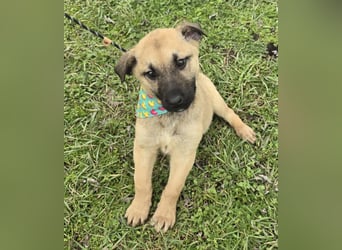 Golda wurde mit ihren 7 Geschwistern einfach entsorgt!