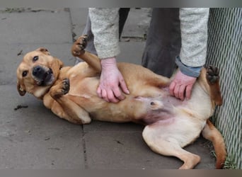 Ozzy - Konsequenz gefragt