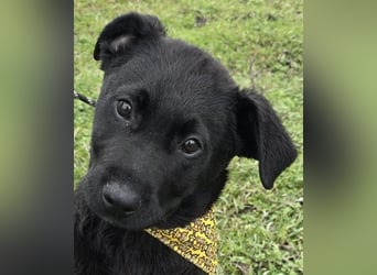 Gerry - einer von 8 Geschwistern ...