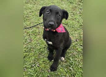 Glori einfach im Müll entsorgt ...