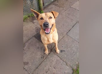 Ozzy - Konsequenz gefragt