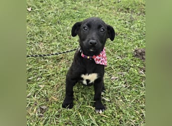 Grete - einfach weggeworfen