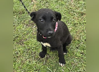 Grete - einfach weggeworfen