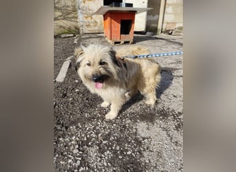 SUNNY wie ein kleiner Sonnenstrahl