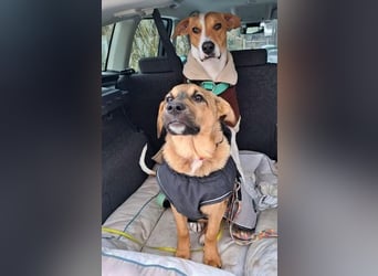 LIESCHEN - auf Pflege in Bayern!